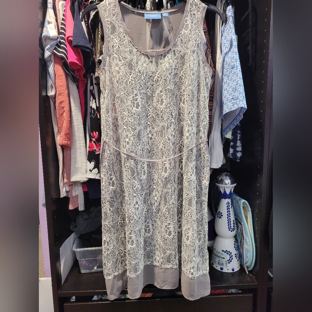 Lace dress with grey slip